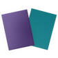 Dragon Shield 100ct Standard Size Dual Sleeves Soul & Petrol